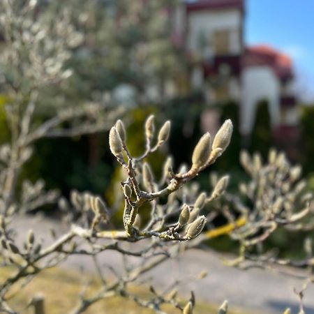 Apartament Josefina Bad Altheide Exterior foto