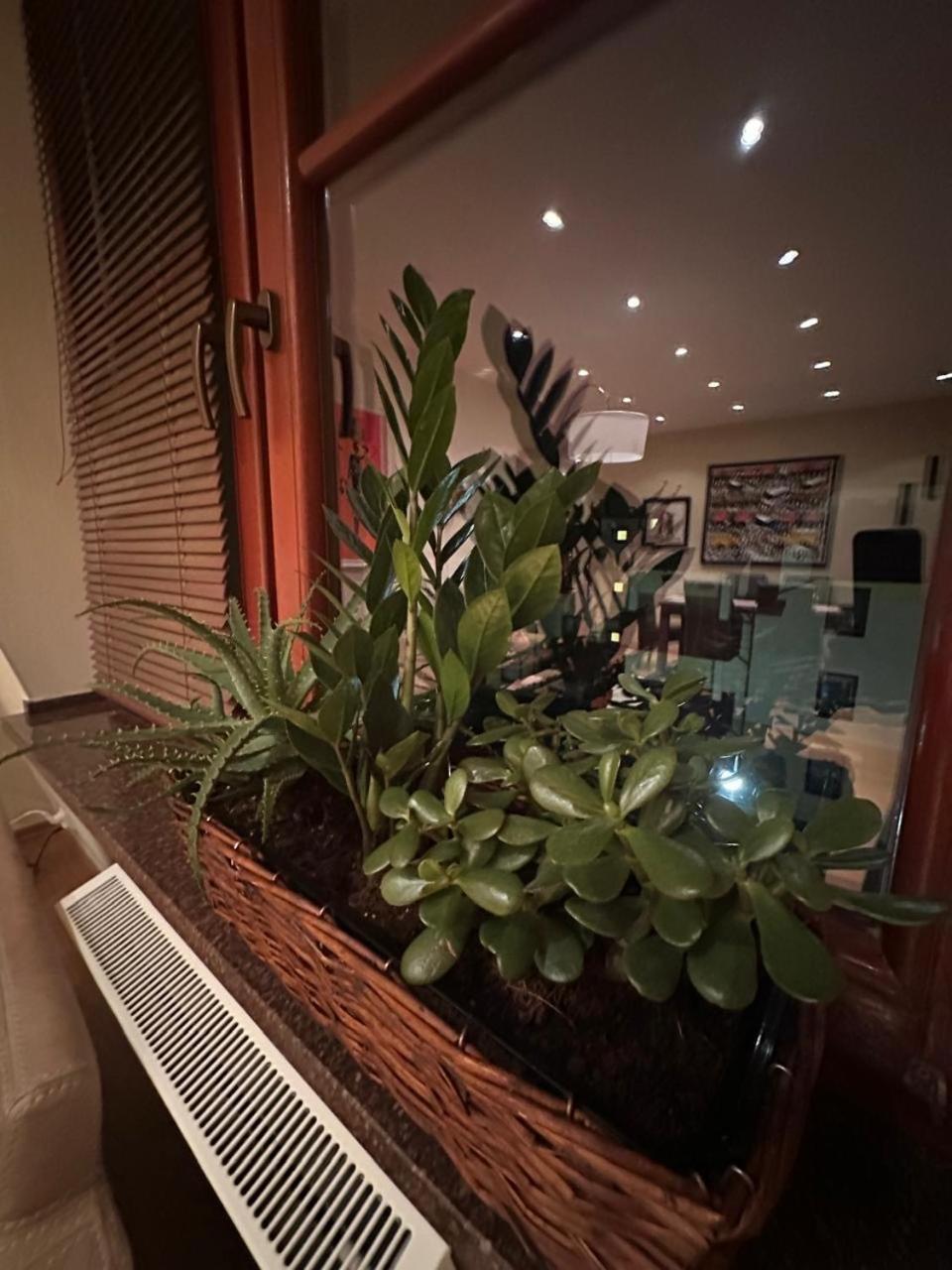Apartament Josefina Bad Altheide Exterior foto